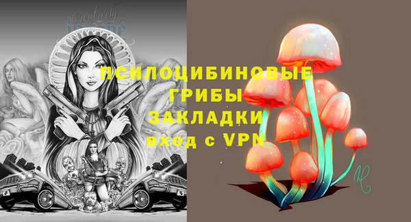 скорость mdpv Новодвинск