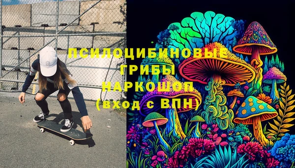 герыч Новозыбков