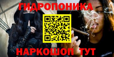 шишки Берёзовский