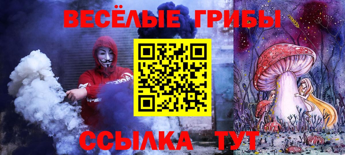наркошоп  Псилоцибиновые грибы мухоморы  Вход с VPN  Выборг 