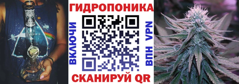 блэк спрут сайт  Выборг  Шишки марихуана AK-47 